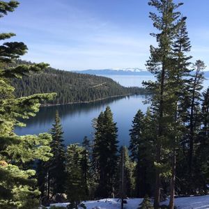 Meet your Posher, Brad